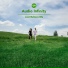 Audio Infinity