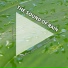 Regengeräusche, Rain Sounds, Yoga