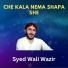 Syed Wali Wazir