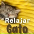 Mascotas Amor Club