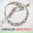 Pimpulsiv feat. Meister Elch, Randale 5000, Casper