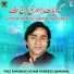 Faiz Miandad Khan Fareedi Qawwal
