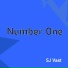 SJ Vast