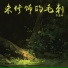 郭晨璐