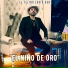 EL FELINO FARID AUN