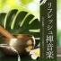 幸運エネルギー