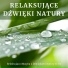 Relaksujące Natury