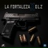 Grupo La Fortaleza, Grupo GLZ