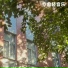 疗愈轻音乐