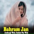 Bahram Jan