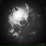 VEENMOL, Black Mode
