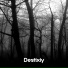 Desfixiy