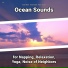 Ocean Waves, Ocean Sounds, Nature Sounds