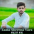 Wazir Wal