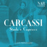 Matteo Carcassi