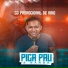 Pica Pau e Banda
