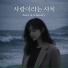 세잎클로버