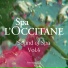 Spa L'Occitane, Anthony Bui