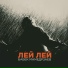 Бабек Мамедрзаев