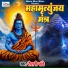 Roshni Pandey