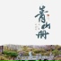 刘珂矣, 刘凯