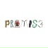 Promis3