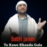 Sabit janan