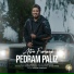 Pedram Paliz