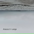 Longa