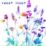 Sweep Sleep