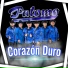 Palomo