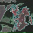 AVERXGE