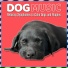 Dog Music, Dog Music Zone, Dog Music Waves
