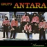 Grupo Antara