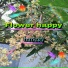 hanegy