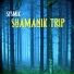 Sysmik