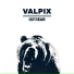 Valpix