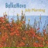 Balkanova