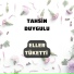 Tahsin Duygulu