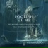 Seven Lions