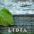 Tocha