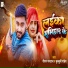 Roushan Bhardwaj, Chulbuli Pandey