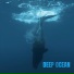 Deep Forest, DeLaurentis, Eric Mouquet
