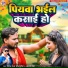 Neeraj Raja Bhojpuriya, Aarti Singh
