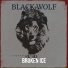 Broken Ice