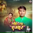 Narendra Anmol