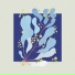 Salamanda