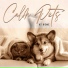 Pet Music Academy