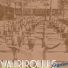 Yarrows