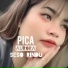 Pica Aurora